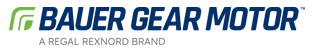 IC Bauer logo